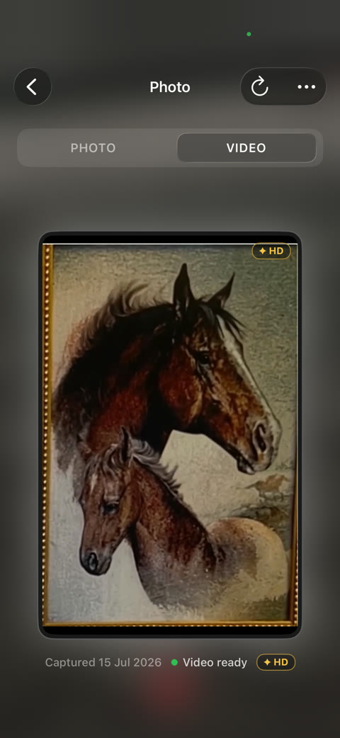 A scanned painting of two horses playing on the Video tab as a Pro video